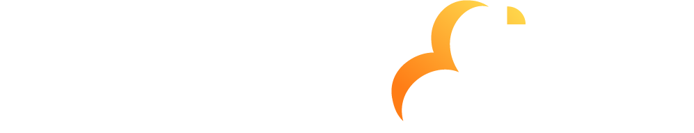 Web Bird Web Design Agency